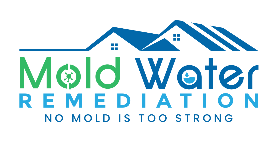 Mold Water Remediation
